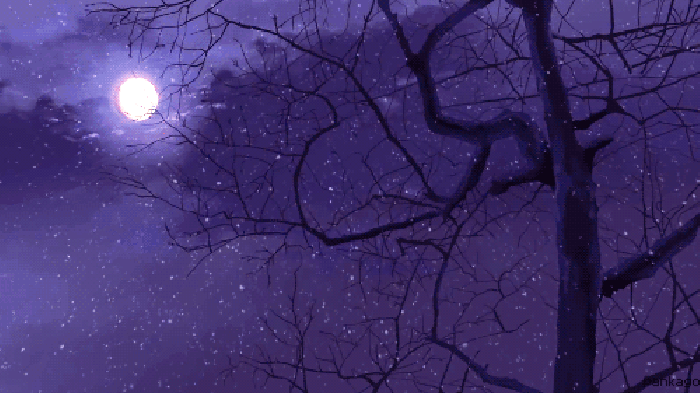 1479900835178063.gif