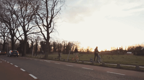 1483600065673003799.gif