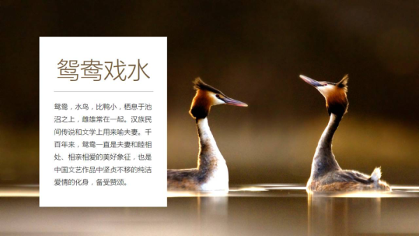 v2-c28bd114cbada492361d980aee09d9c2_b.png